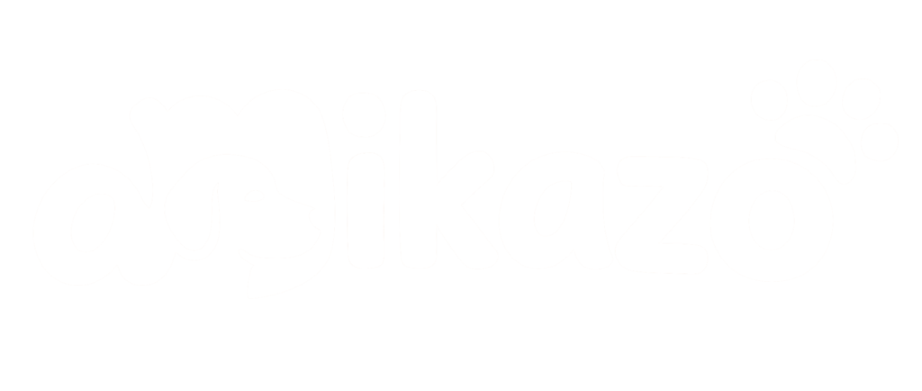 Amikazo white logo