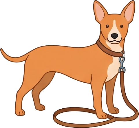 That is a Basenji