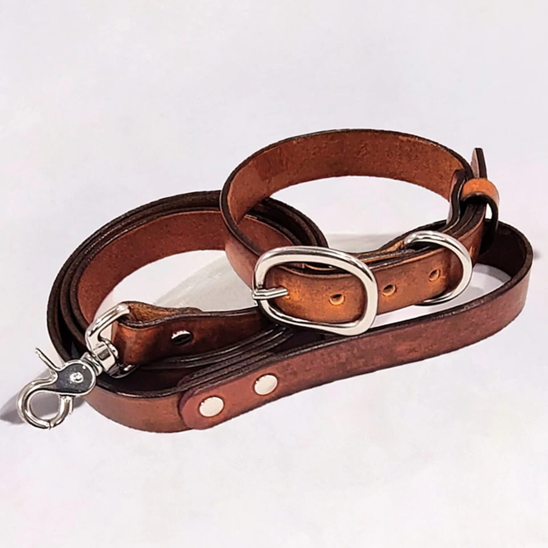 Dogs wearing premium matching harnesses, leashes, and collars in a modern outdoor setting